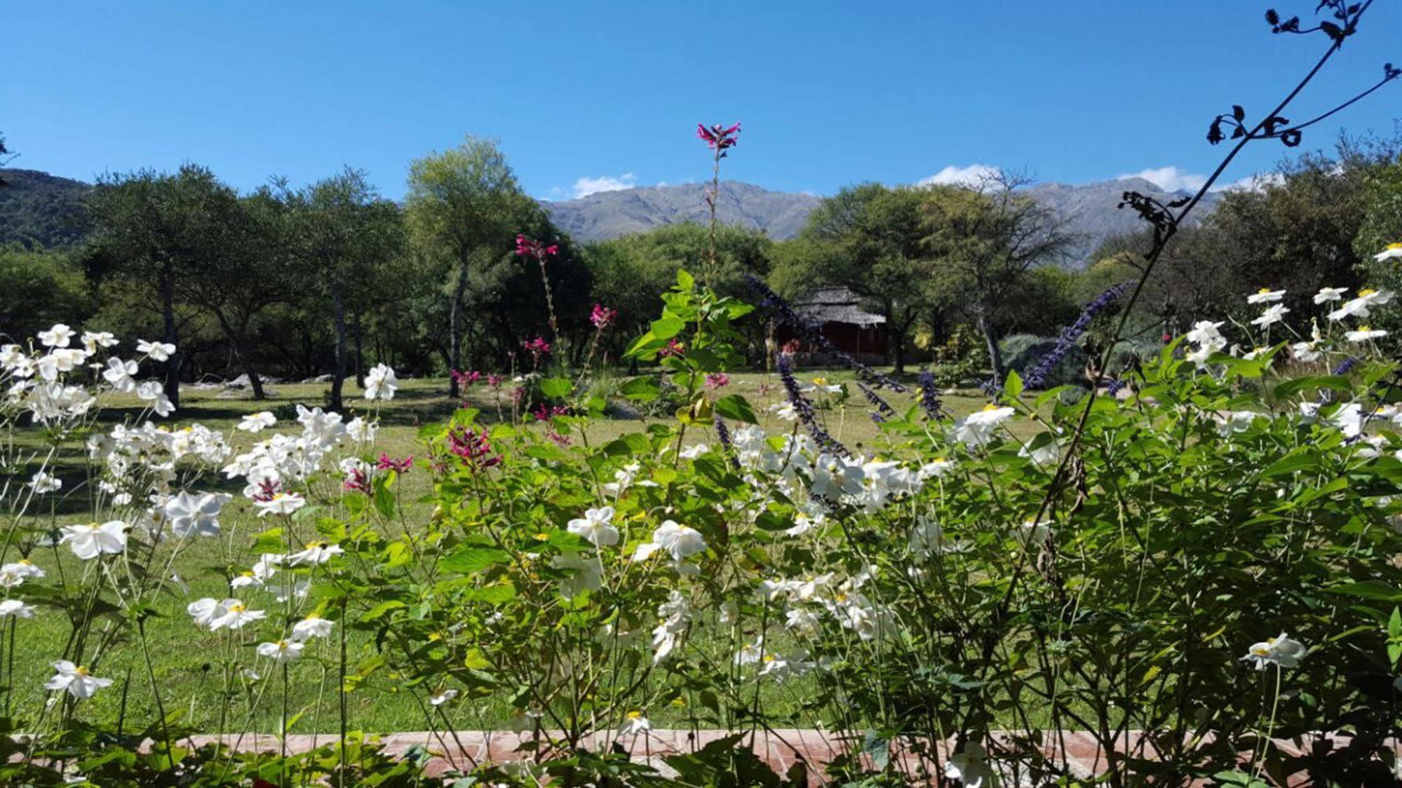 Las Dalias Villa Las Rosas Exteriör bild