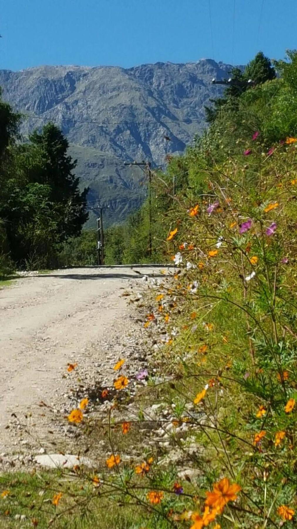 Las Dalias Villa Las Rosas Exteriör bild